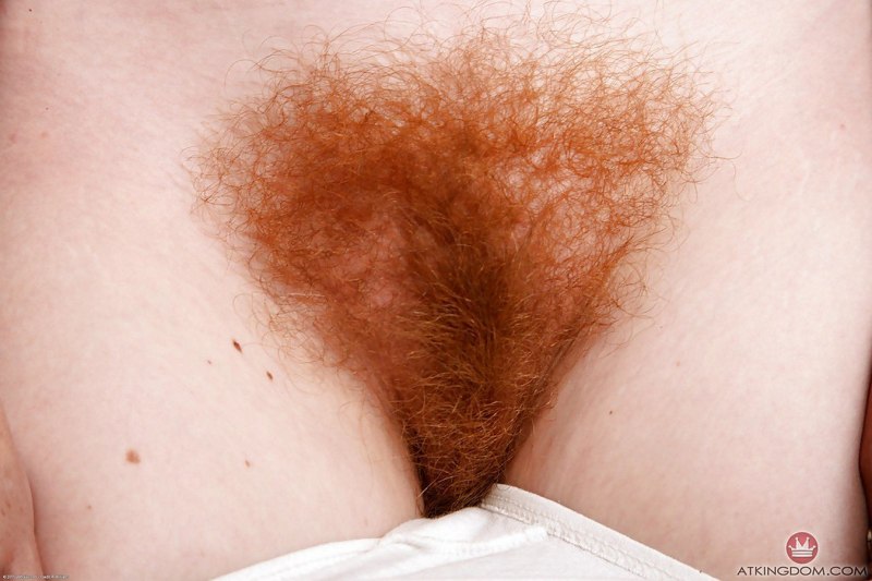 Волосатая пиздень рыжая