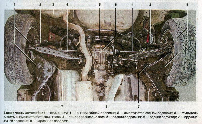 Элисон Тайлер facesitting pov